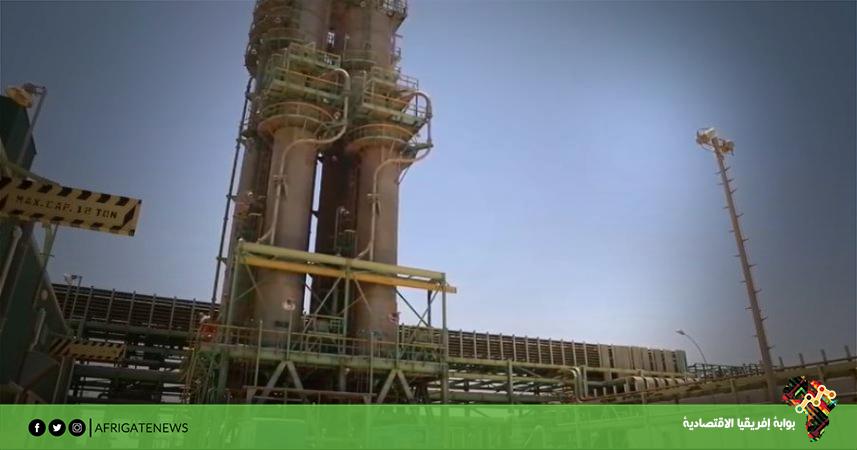 بوابة إفريقيا الاقتصادية
