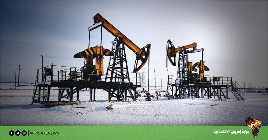 بوابة إفريقيا الاقتصادية