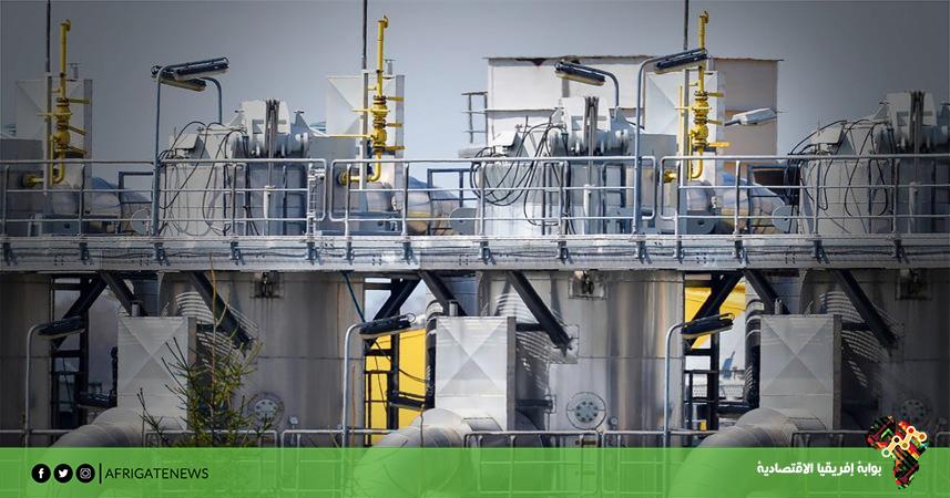 بوابة إفريقيا الاقتصادية