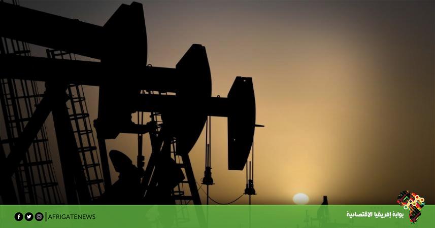 بوابة إفريقيا الاقتصادية