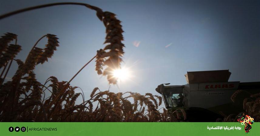 بوابة إفريقيا الاقتصادية