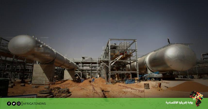 بوابة إفريقيا الاقتصادية