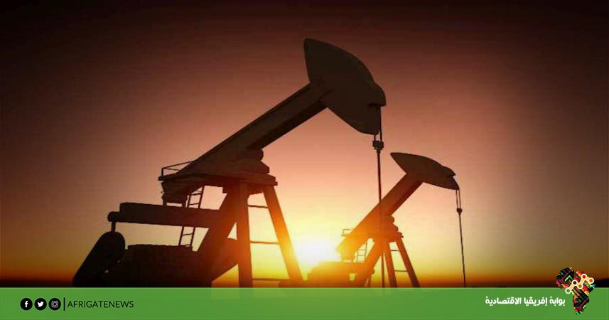 بوابة إفريقيا الاقتصادية