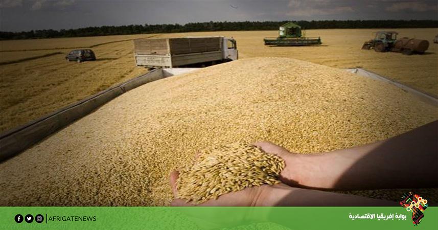 بوابة إفريقيا الاقتصادية