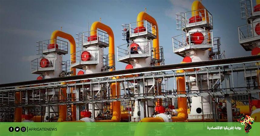 بوابة إفريقيا الاقتصادية