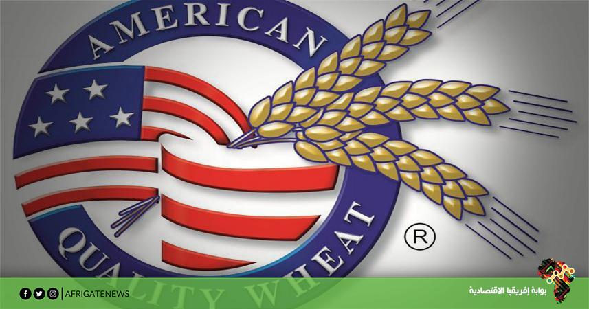 بوابة إفريقيا الاقتصادية