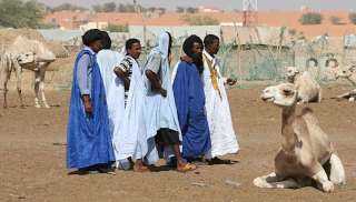 الحكومة الموريتانية تستعد للجفاف بتوفير الأعلاف