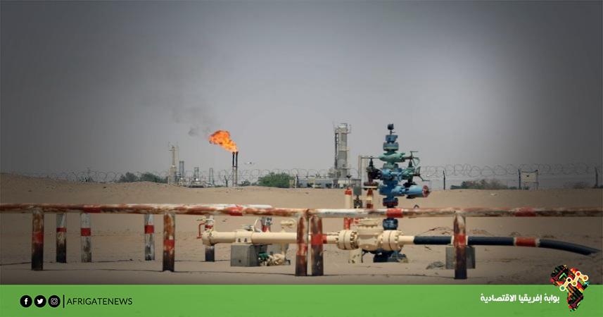 بوابة إفريقيا الاقتصادية