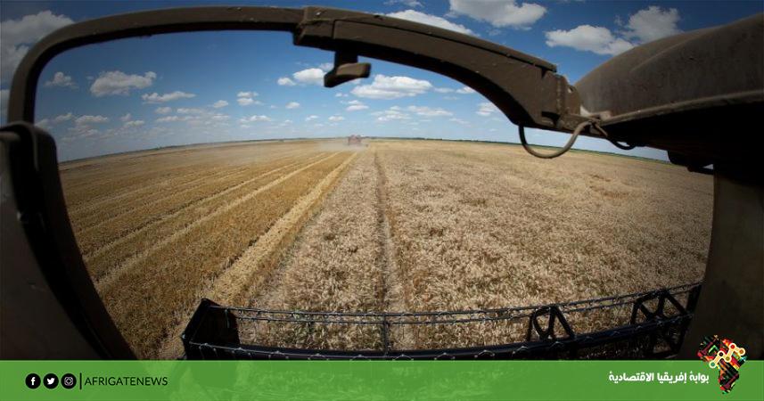 بوابة إفريقيا الاقتصادية