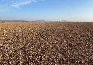 المغرب يتعرض لجفاف كارثي يزيد تكلفة الاستيراد والدعم