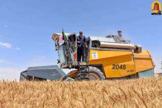 الجزائر: تنصيب اللجان المحلية لمتابعة موسم الحصاد