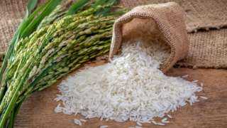 تراجع إنتاج الهند من الأرز بنسبة 6.1% على أساسي سنوي